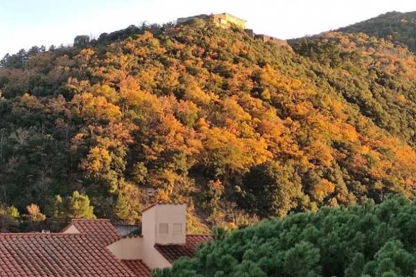 Photo T1 BIS PLEIN SUD SANS VIS A VIS  AVEC VUE MONTAGNE A AMELIE LES BAINS