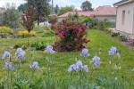 Logement pour curiste à Baignes-Sainte-Radegonde photo 15 adv27114086