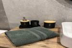 Logement pour curiste à Amnéville-les-Thermes photo 13 adv30034188