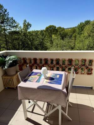 Photo Appartement avec 1 chambre, tout confort, vue sur château, accès piscine - Gréoux les Bains