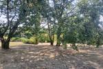 Logement pour curiste à Barbotan-les-Thermes photo 8 adv24044494