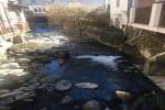 Logement pour curiste à Ax-les-Thermes photo 7 adv05054501