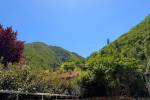 Logement pour curiste à Digne-les-Bains photo 5 adv06094554