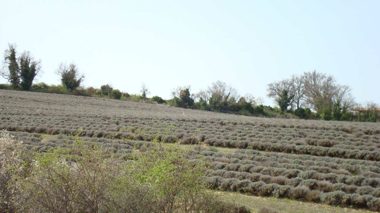 Centre thermal - Photo 6