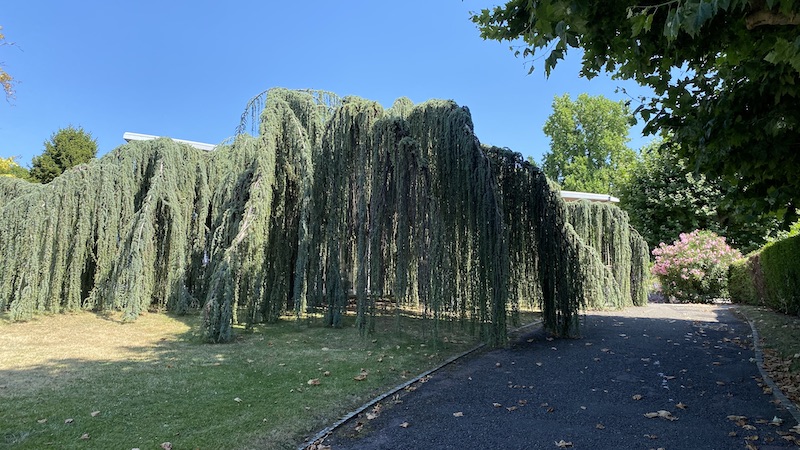 Un parc à Evian les Bains