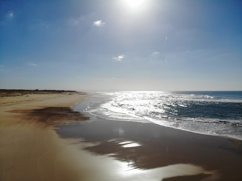 Plage &agrave; Seignosse